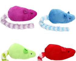 Interactief Speelgoed Set